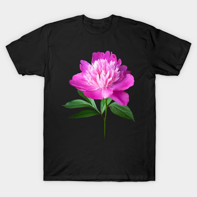 Peonies - One Pink Peony T-Shirt by SusanSavad